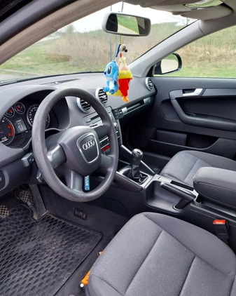 Audi A3 cena 24000 przebieg: 316829, rok produkcji 2009 z Wrocław małe 106